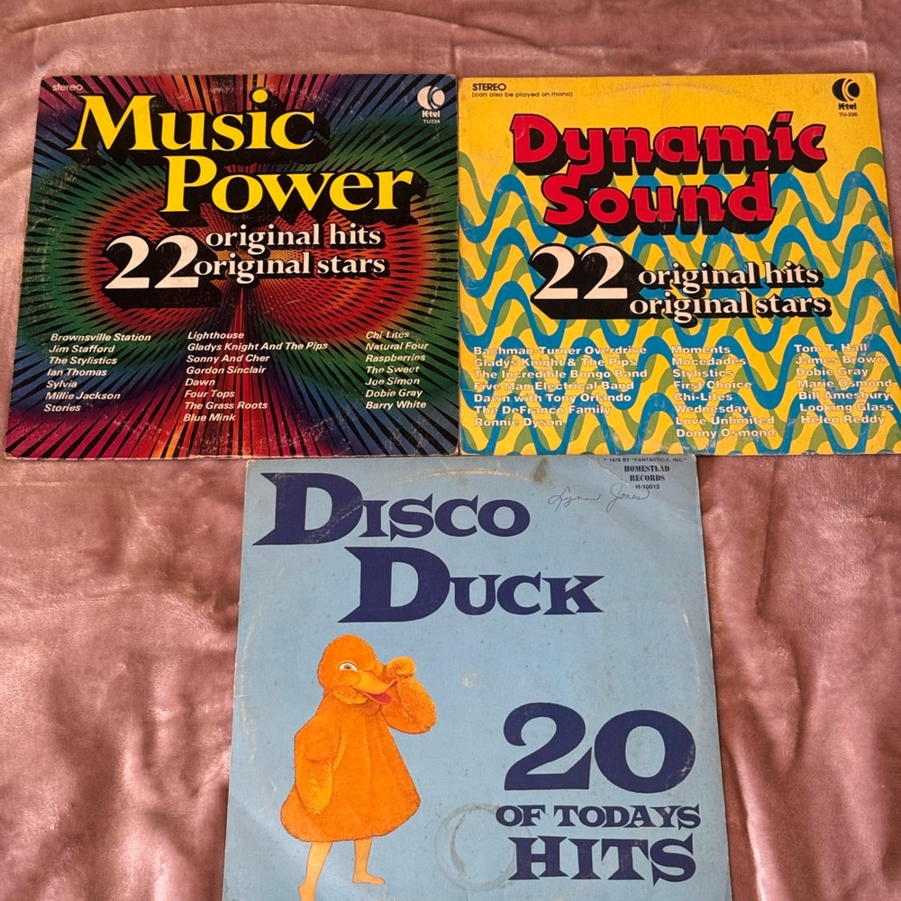 Dynamic Sound, Music Power, Disco Duck Vintage Vinyl Record Lot (1974)